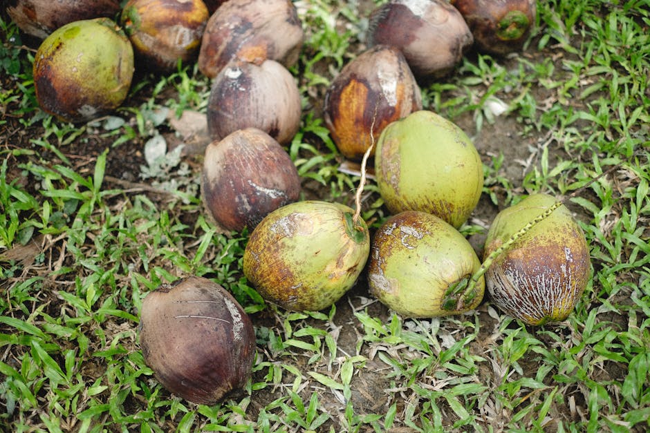 Savais-tu que l'huile de coco sublime tes cheveux ?